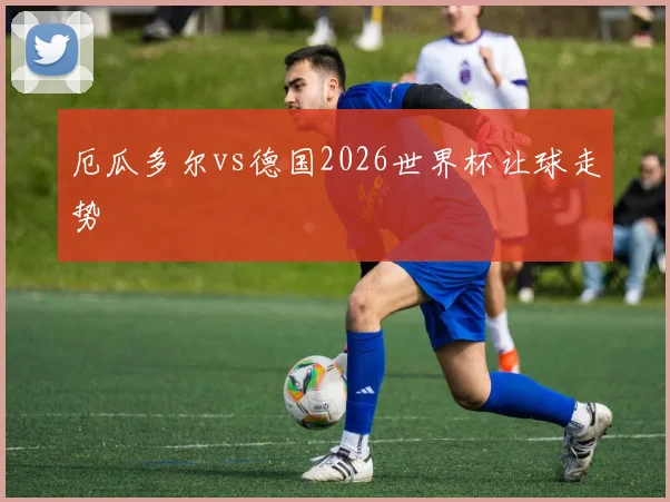 厄瓜多尔vs德国2026世界杯让球走势