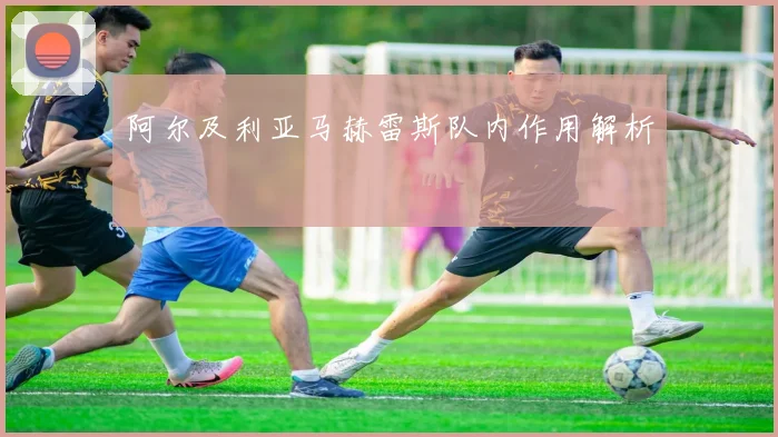 阿尔及利亚马赫雷斯队内作用解析