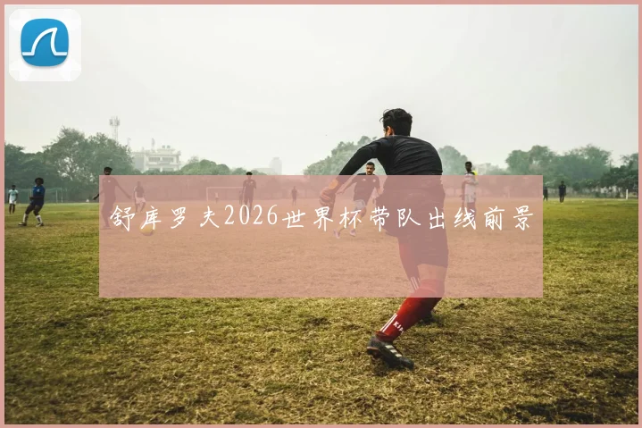 舒库罗夫2026世界杯带队出线前景