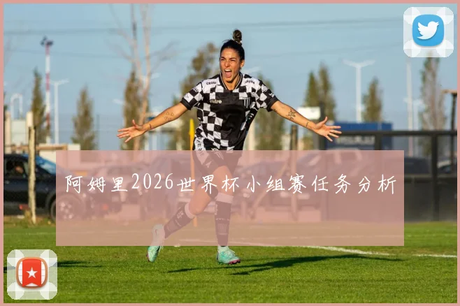 阿姆里2026世界杯小组赛任务分析