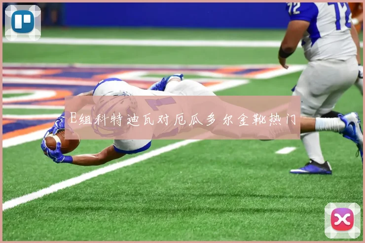 E组科特迪瓦对厄瓜多尔金靴热门