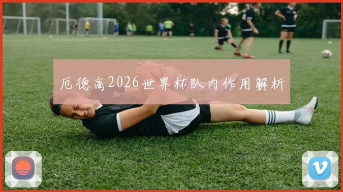 厄德高2026世界杯队内作用解析