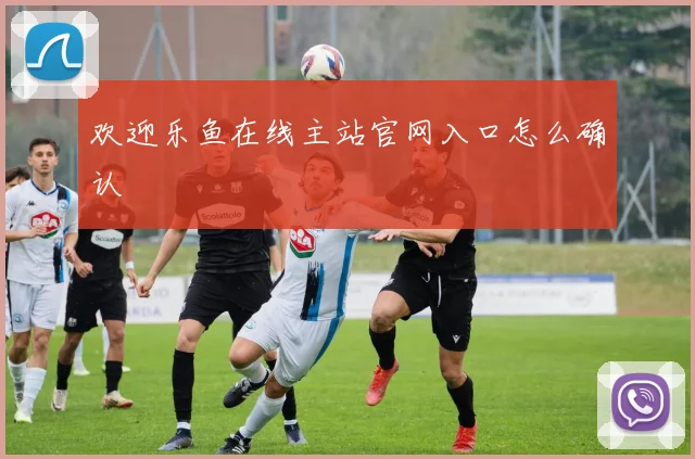 欢迎乐鱼在线主站官网入口怎么确认