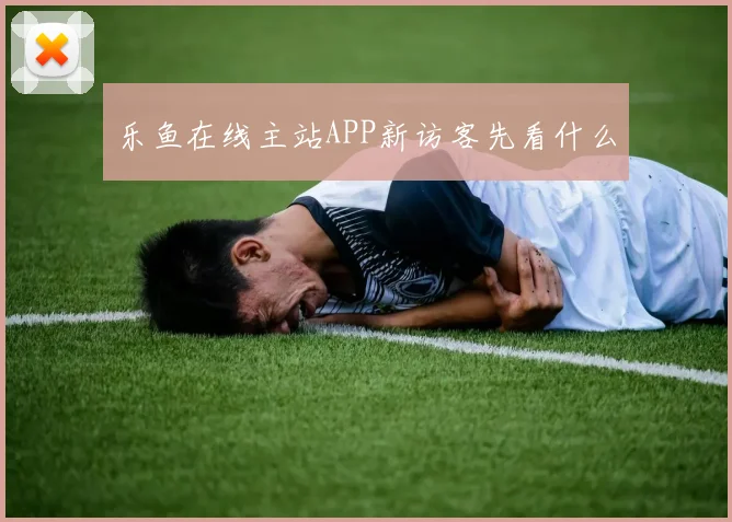 乐鱼在线主站APP新访客先看什么
