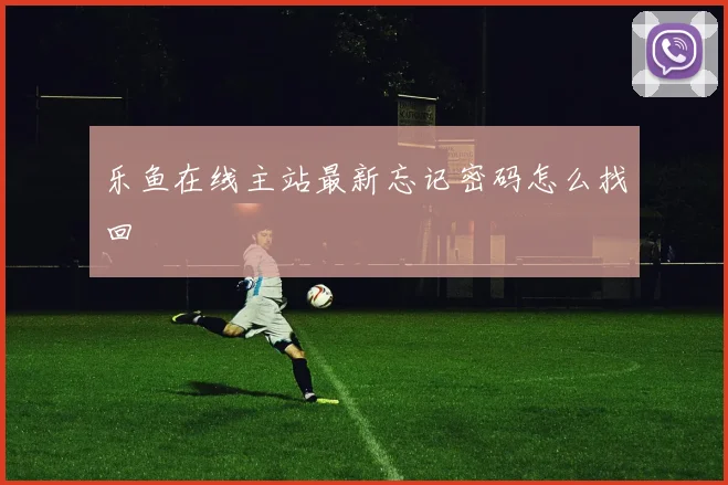 乐鱼在线主站最新忘记密码怎么找回