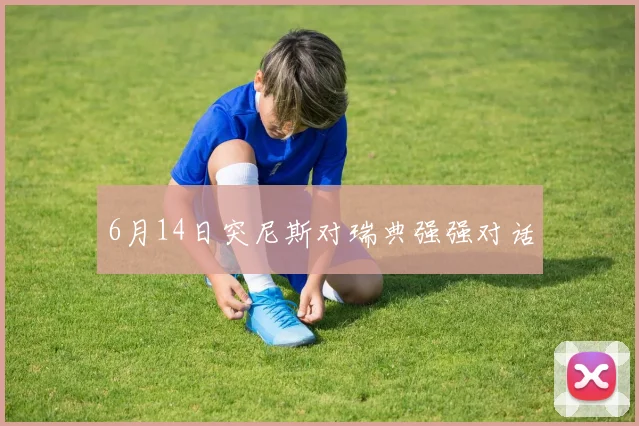 6月14日突尼斯对瑞典强强对话