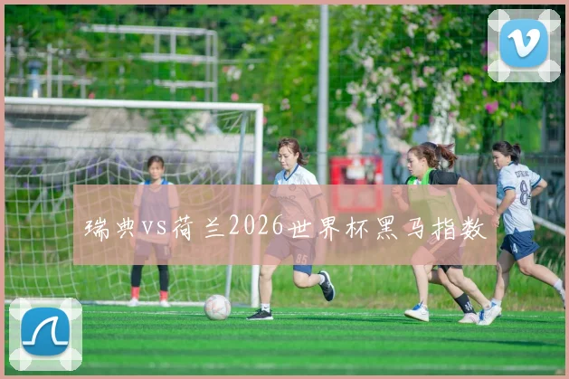 瑞典vs荷兰2026世界杯黑马指数